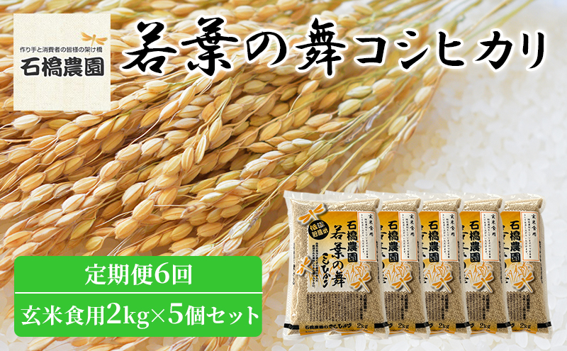 米 若葉の舞 コシヒカリ 玄米食用2kg×5個セット 定期便6回 こしひかり セット 定期便 お米 玄米 千葉 千葉県 低温保存