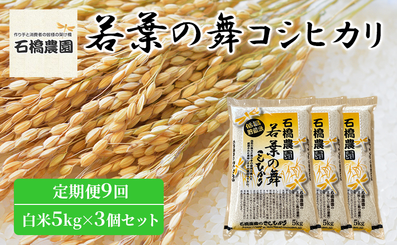 米 若葉の舞 コシヒカリ 白米5kg×3個セット 定期便9回 こしひかり セット 定期便 お米 白米 精米 千葉 千葉県 低温保存