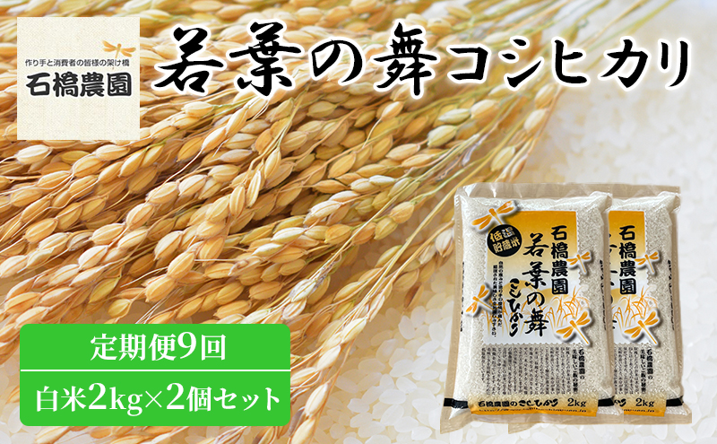 米 若葉の舞 コシヒカリ 白米2kg×2個セット 定期便9回 こしひかり セット 定期便 お米 白米 精米 千葉 千葉県 低温保存