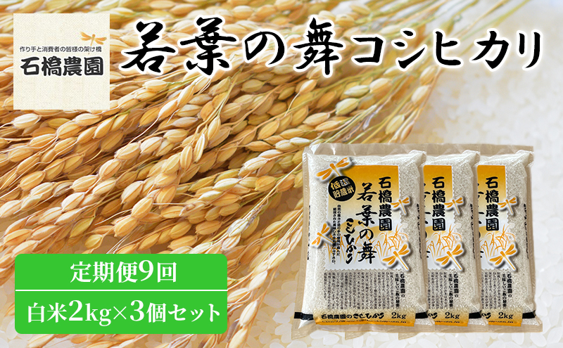 米 若葉の舞 コシヒカリ 白米2kg×3個セット 定期便9回 こしひかり セット 定期便 お米 白米 精米 千葉 千葉県 低温保存