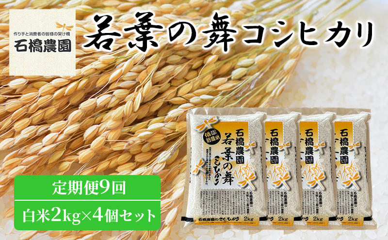 米 若葉の舞 コシヒカリ 白米2kg×4個セット 定期便9回 こしひかり セット 定期便 お米 白米 精米 千葉 千葉県 低温保存