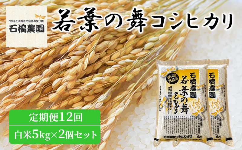 米 若葉の舞 コシヒカリ 白米5kg×2個セット 定期便12回 こしひかり セット 定期便 お米 白米 精米 千葉 千葉県 低温保存