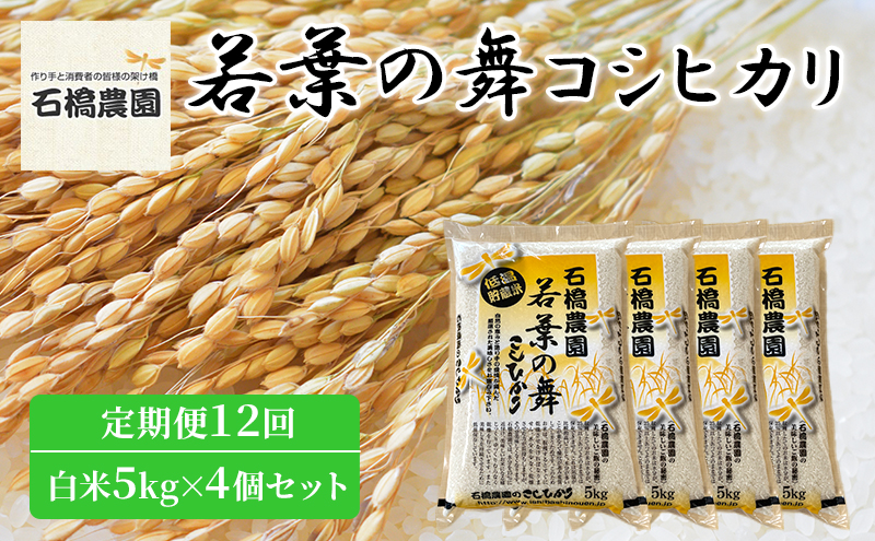 米 若葉の舞 コシヒカリ 白米5kg×4個セット 定期便12回 こしひかり セット 定期便 お米 白米 精米 千葉 千葉県 低温保存