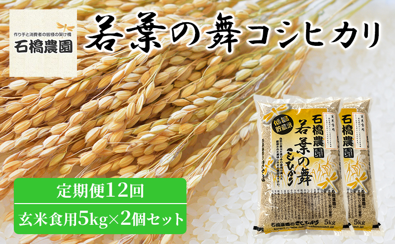 米 若葉の舞 コシヒカリ 玄米食用5kg×2個セット 定期便12回 こしひかり セット 定期便 お米 玄米 千葉 千葉県 低温保存