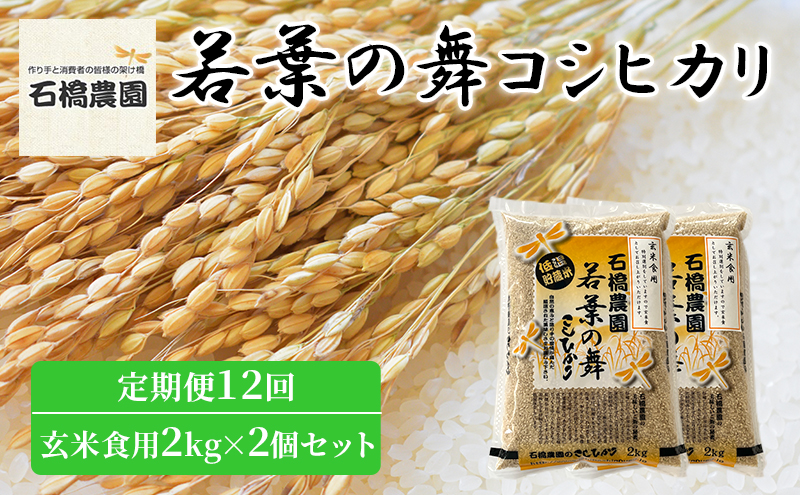 米 若葉の舞 コシヒカリ 玄米食用2kg×2個セット 定期便12回 こしひかり セット 定期便 お米 玄米 千葉 千葉県 低温保存