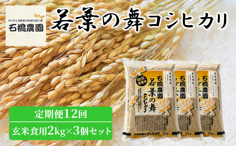 米 若葉の舞 コシヒカリ 玄米食用2kg×3個セット 定期便12回 こしひかり セット 定期便 お米 玄米 千葉 千葉県 低温保存