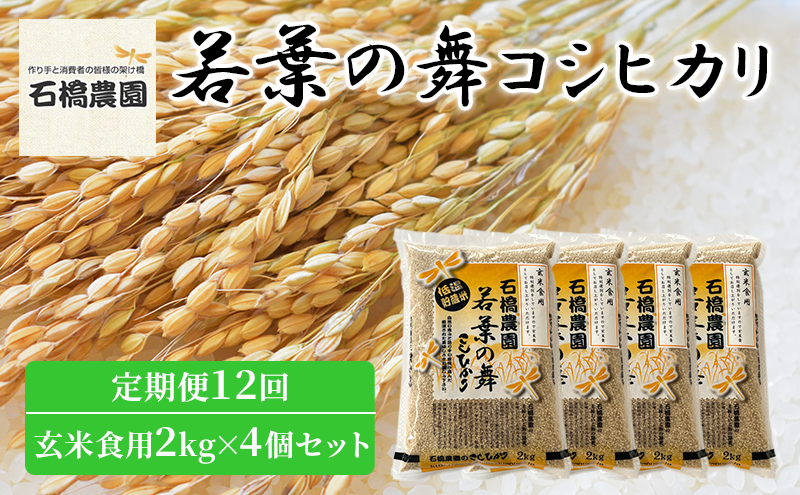 米 若葉の舞 コシヒカリ 玄米食用2kg×4個セット 定期便12回 こしひかり セット 定期便 お米 玄米 千葉 千葉県 低温保存