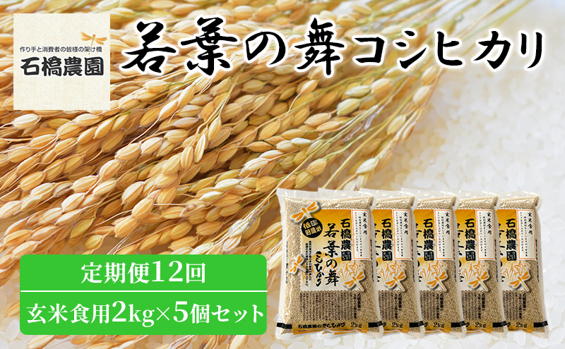 米 若葉の舞 コシヒカリ 玄米食用2kg×5個セット 定期便12回 こしひかり セット 定期便 お米 玄米 千葉 千葉県 低温保存