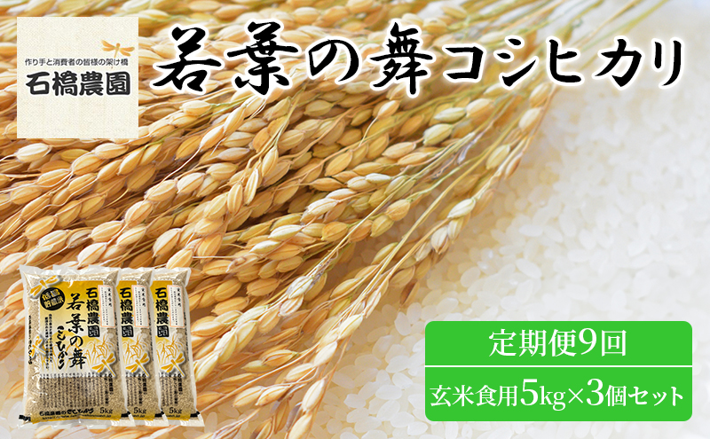 米 若葉の舞 コシヒカリ 玄米食用5Kg×3個セット 定期便9回 こしひかり セット お米 玄米 千葉 千葉県 低温保存