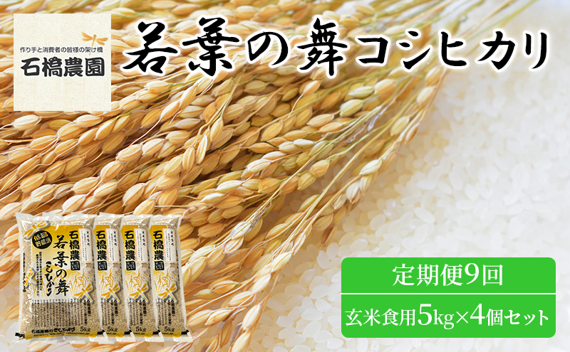 米 若葉の舞 コシヒカリ 玄米食用5Kg×4個セット 定期便9回 こしひかり セット お米 玄米 千葉 千葉県 低温保存