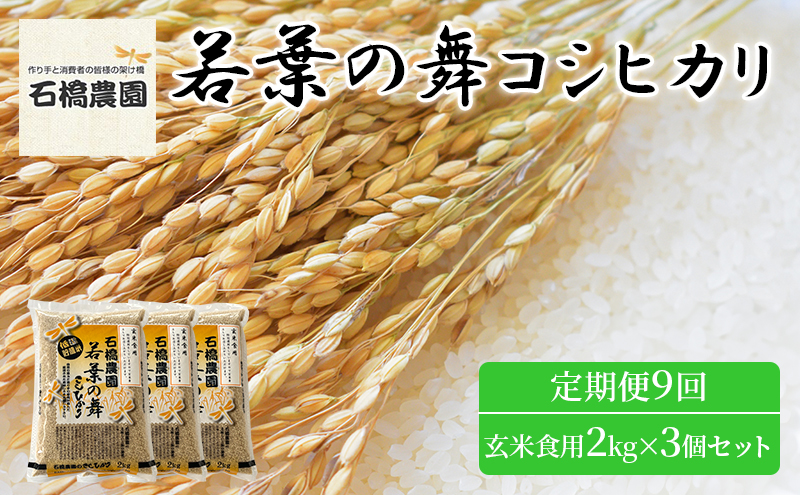 米 若葉の舞 コシヒカリ 玄米食用2Kg×3個セット 定期便9回 こしひかり セット お米 玄米 千葉 千葉県 低温保存