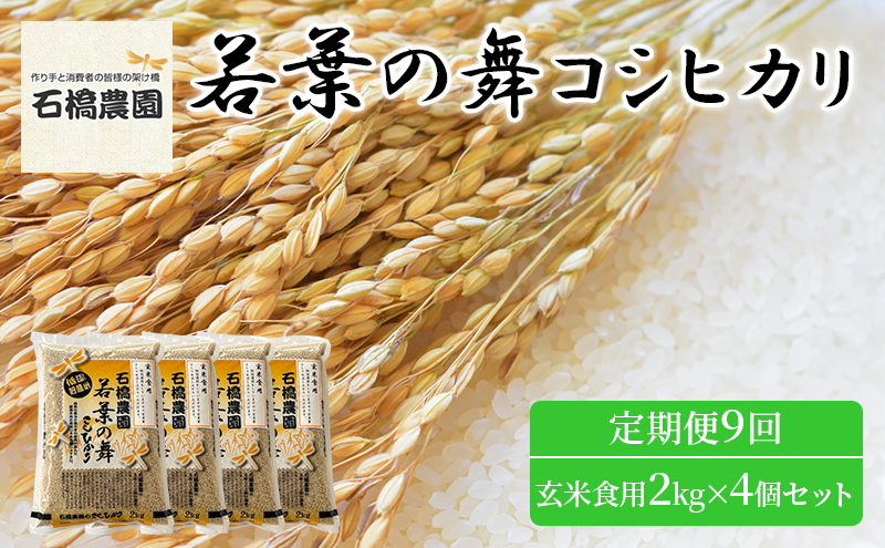 米 若葉の舞 コシヒカリ 玄米食用2Kg×4個セット 定期便9回 こしひかり セット お米 玄米 千葉 千葉県 低温保存