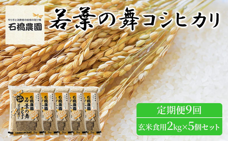 米 若葉の舞 コシヒカリ 玄米食用2Kg×5個セット 定期便9回 こしひかり セット お米 玄米 千葉 千葉県 低温保存