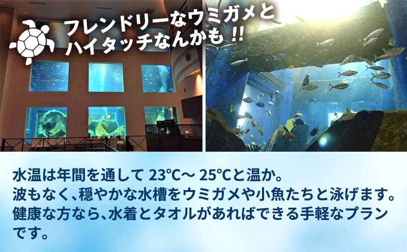螟ァ蝙区ーエ讒ス 繧キ繝・繝弱シ繧ア繝ェ繝ウ繧ー 菴馴ィ 繝√こ繝繝 繧ッ繝シ繝昴Φ 繧ヲ繝溘ぎ繝。 豌エ讒ス 蜊闡牙ク