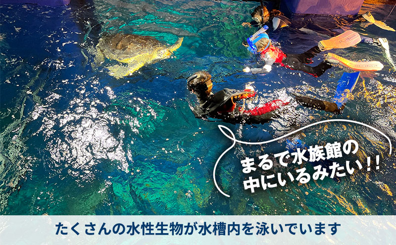 螟ァ蝙区ーエ讒ス 繧キ繝・繝弱シ繧ア繝ェ繝ウ繧ー 菴馴ィ 繝√こ繝繝 繧ッ繝シ繝昴Φ 繧ヲ繝溘ぎ繝。 豌エ讒ス 蜊闡牙ク