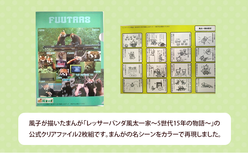 レッサーパンダ風太一家　セット（クリアファイル2枚組、コットン巾着、メモ帳） クリアファイル 巾着 メモ帳 風太 風太ァズ レッサーパンダ グッズ オリジナルグッズ セット 千葉市動物公園 千葉県