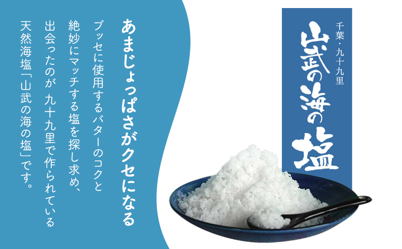 海岸通りの塩ブッセ16個入 1箱 お菓子 焼菓子 スイーツ ブッセ 塩バター おやつ お取り寄せ お土産 手土産 お土産部門優秀賞受賞 稲毛海岸 千葉市 千葉県