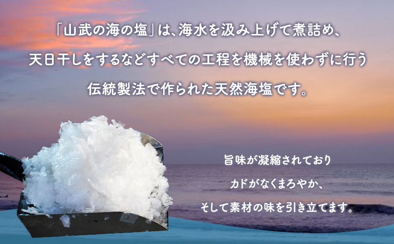 海岸通りの塩ブッセ16個入 1箱 お菓子 焼菓子 スイーツ ブッセ 塩バター おやつ お取り寄せ お土産 手土産 お土産部門優秀賞受賞 稲毛海岸 千葉市 千葉県