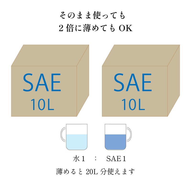 除菌スプレー 介護を快適に SAEプラス80 10L介護施設 介護用品 除菌 消臭 衛生 清潔 カビ予防 感染症予防 細菌 ウィルス 微酸性次亜塩素酸水 二重構造 千葉市 千葉県