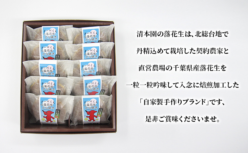 チーバくん落花生銅鑼焼き詰合せ10 どら焼き 和菓子 おやつ　千葉市