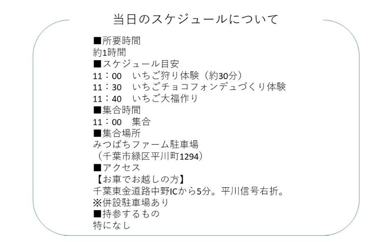 2月1日（土）旬のいちごが食べ放題！摘みたていちごで楽しむかんたん手作りスイーツ体験 1名様分 いちご狩り いちご スイーツ 体験 千葉あそび 千葉市