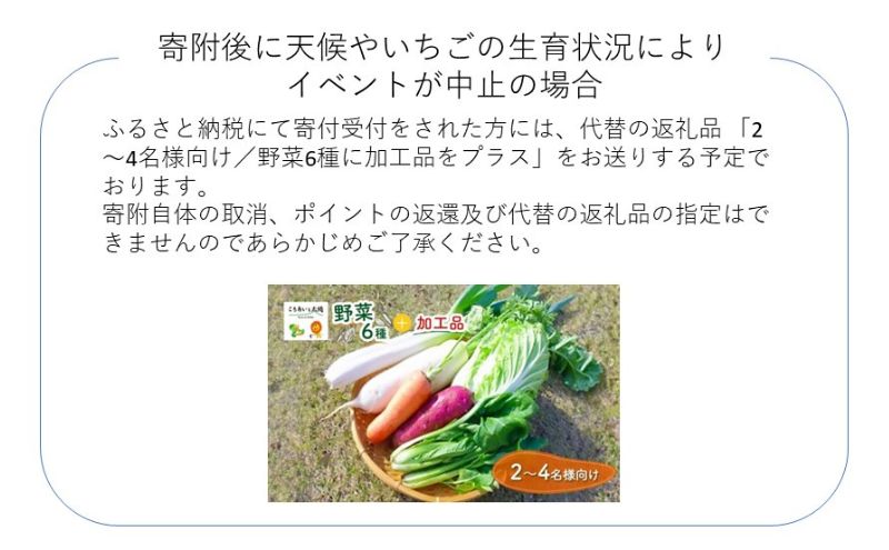 2月1日（土）旬のいちごが食べ放題！摘みたていちごで楽しむかんたん手作りスイーツ体験 1名様分 いちご狩り いちご スイーツ 体験 千葉あそび 千葉市