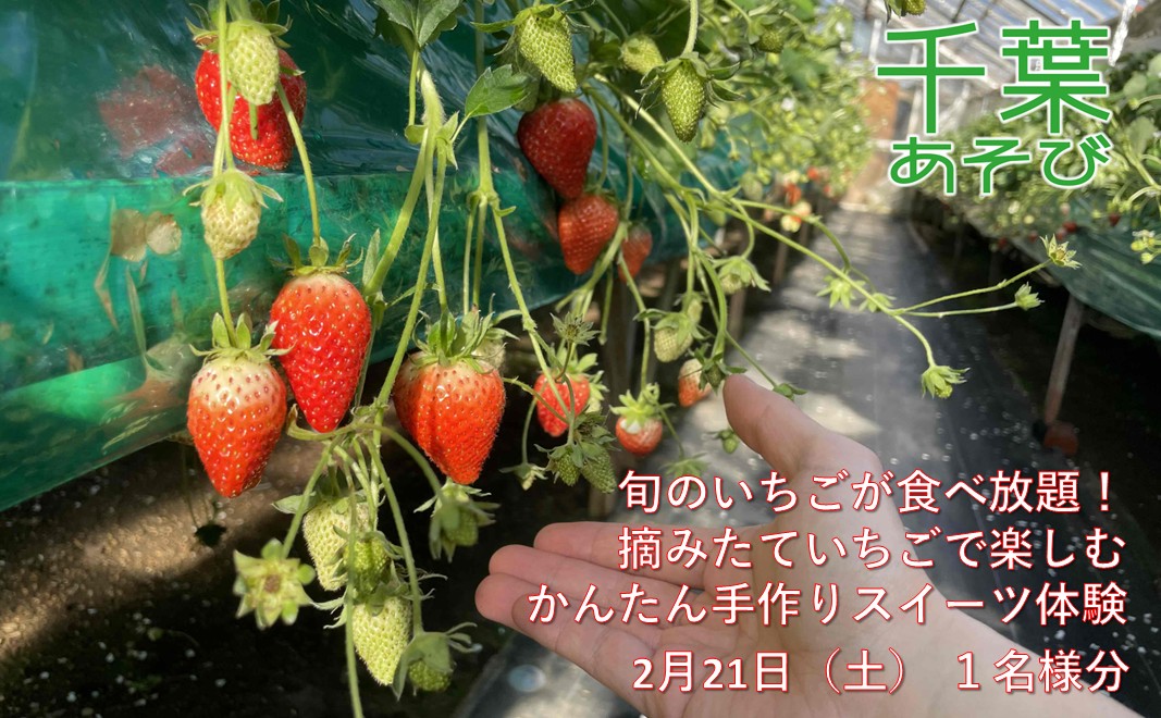 2月21日（土）旬のいちごが食べ放題！摘みたていちごで楽しむかんたん手作りスイーツ体験 1名様分 いちご狩り いちご スイーツ 体験 千葉あそび 千葉市
