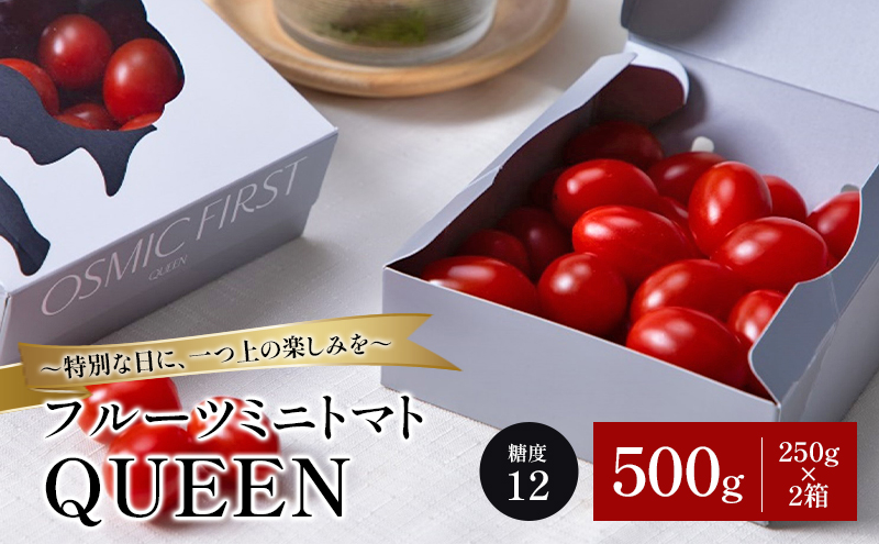 フルーツミニトマトQUEEN 500g(250g×2箱) トマト ミニトマト 国産 野菜 糖度12 濃厚 千葉市 千葉県