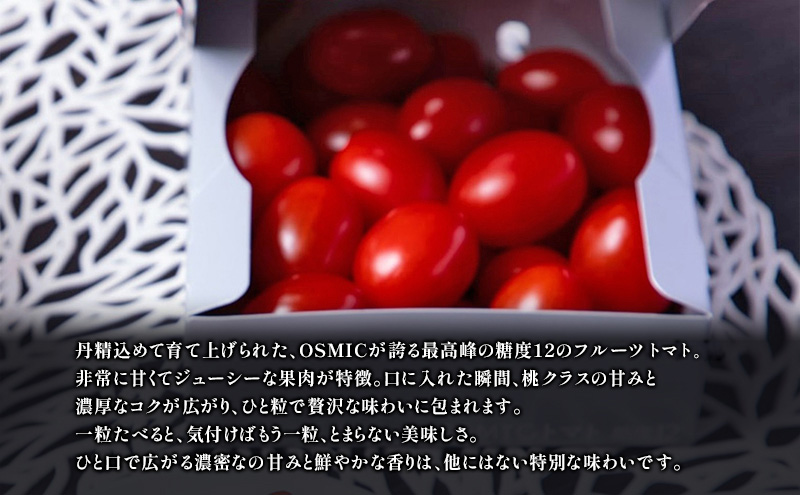 フルーツトマトQUEEN 500g(250g×2箱) トマト 国産 野菜 糖度12 濃厚 千葉市 千葉県