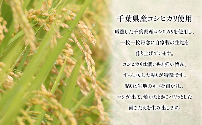 せんべい 田子作煎餅 うす焼き箱入り 33袋66枚入 千ブランド 煎餅 お菓子 焼き菓子 うす焼き煎餅 千葉県産 コシヒカリ 厳選 自家製 天然醤油だれ 炭火 千葉県 千葉市