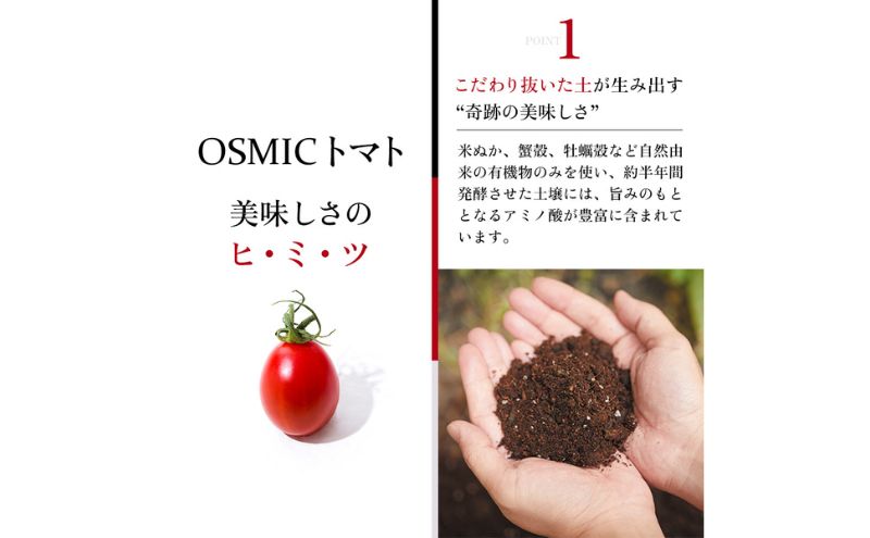 OSMIC FIRST PRINCESS 4箱セット　【トマト オスミック 千 ブランド ミニトマト 野菜】 国産 付け合わせ サラダ トッピング 糖度11 驚きの甘さ 