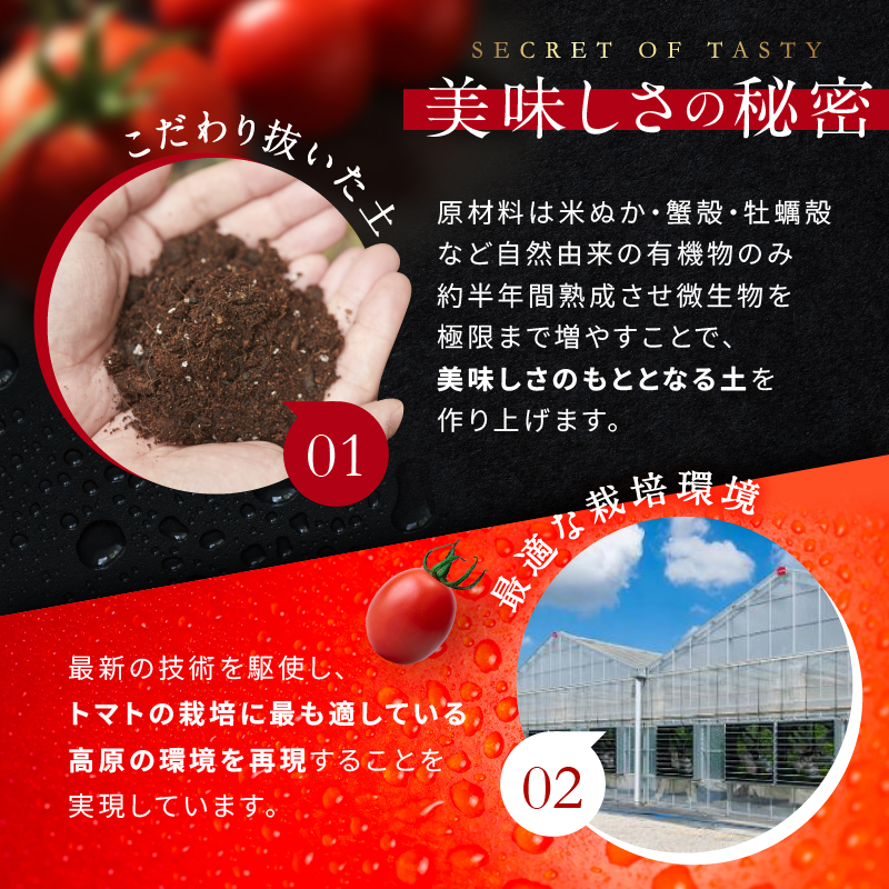 OSMIC FIRST PRINCESS 4箱セット　【トマト オスミック 千 ブランド ミニトマト 野菜】 国産 付け合わせ サラダ トッピング 糖度11 驚きの甘さ 