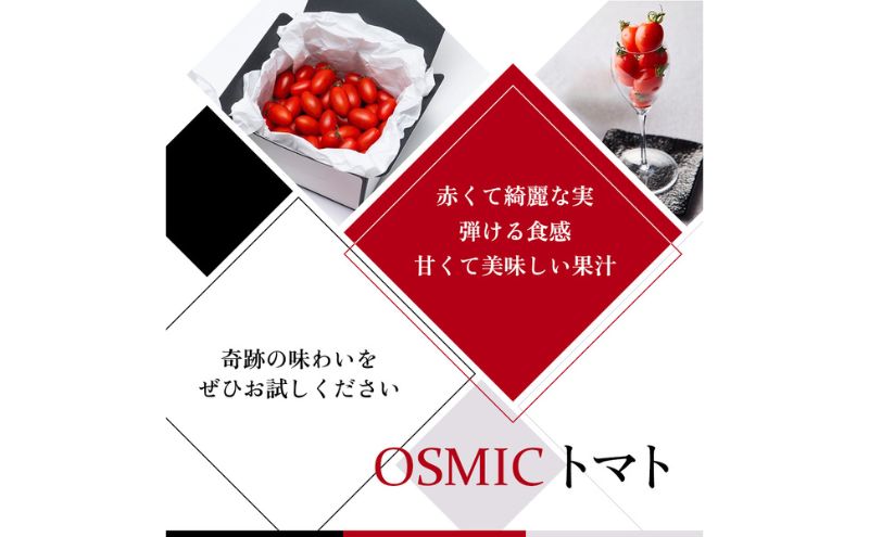OSMIC FIRST PRINCESS 4箱セット　【トマト オスミック 千 ブランド ミニトマト 野菜】 国産 付け合わせ サラダ トッピング 糖度11 驚きの甘さ 