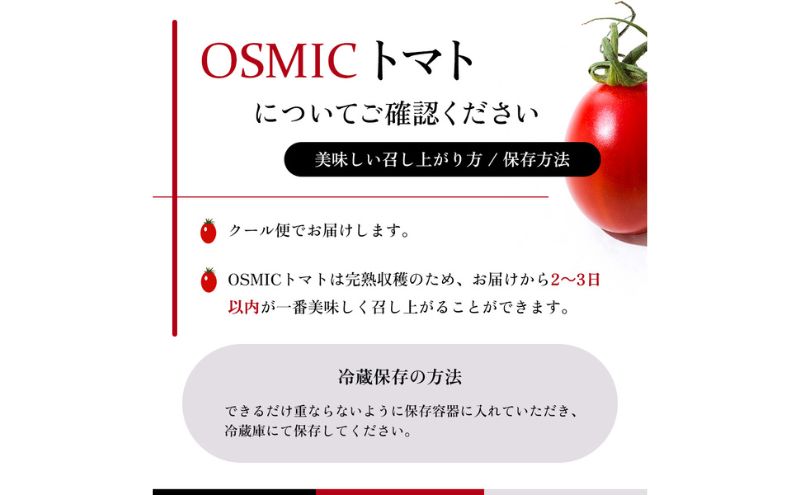 OSMIC FIRST PRINCESS 4箱セット　【トマト オスミック 千 ブランド ミニトマト 野菜】 国産 付け合わせ サラダ トッピング 糖度11 驚きの甘さ 