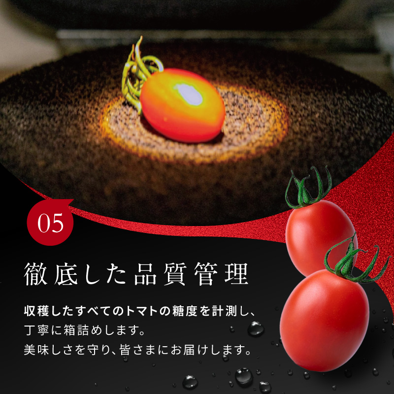OSMIC FIRST PRINCESS 4箱セット　【トマト オスミック 千 ブランド ミニトマト 野菜】 国産 付け合わせ サラダ トッピング 糖度11 驚きの甘さ 