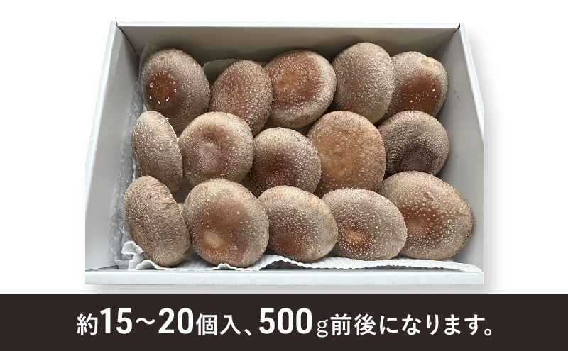 縺励>縺溘¢ 閧牙字逕滓、手減500g 讀手減 繧キ繧、繧ソ繧ア 鬮伜刀雉ェ 騾壼ケエ譬ス蝓ケ 閧牙字 螟ァ邊 縺励▲縺九j 蝎帙∩蠢懊∴ 縺阪ョ縺 蜊闡牙ク 蜊闡臥恁