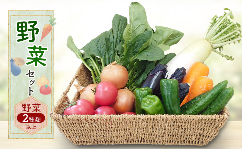 野菜セット 野菜2種類以上 野菜 季節の野菜 セット 産地直送 新鮮 野菜農家 季節 詰め合わせ 産直 国産 お楽しみ おまかせセット 千葉市