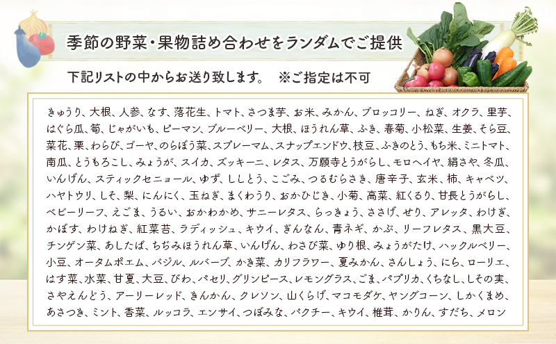 野菜セット 野菜2種類以上 野菜 季節の野菜 セット 産地直送 新鮮 野菜農家 季節 詰め合わせ 産直 国産 お楽しみ おまかせセット 千葉市