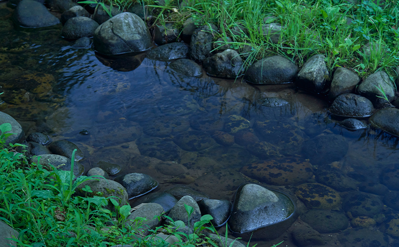 メガネの上から掛けられるサングラス オーバーグラス「Otani（オータニ）」フレームセンターレス、視界の広いゴーグルタイプ「颯（はやて）」(4)グレー／ペールグレー