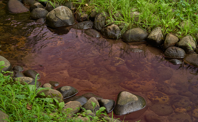 メガネの上から掛けられるサングラス オーバーグラス「Otani（オータニ）」フレームセンターレス、視界の広いゴーグルタイプ「颯（はやて）」(5)レッド／ペールブラウン