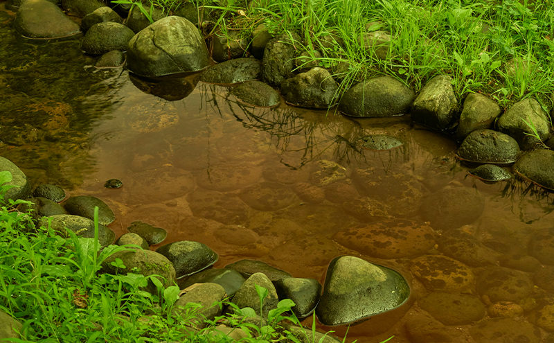 メガネの上から掛けられるサングラス オーバーグラス「Otani（オータニ）」フレームセンターレス、視界の広いゴーグルタイプ「颯（はやて）」(6)イエローパール／トワイライトイエロー