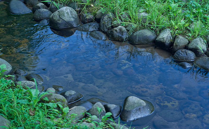 ã¡ã¬ãã®äžããæãããããµã³ã°ã©ã¹ ãªãŒããŒã°ã©ã¹ãOtaniïŒãªãŒã¿ãïŒãåŽé¢ãŸã§ã®èŠéãšæããã確ä¿ããã³ãã«ãããªããã«ãã£ãããæãå€ãã®ãããã軜éã¢ãã«ãæŸé¢šïŒãŸã€ããïŒã(1)ãã©ãã¯ïŒããŒã«ã°ã¬ãŒ