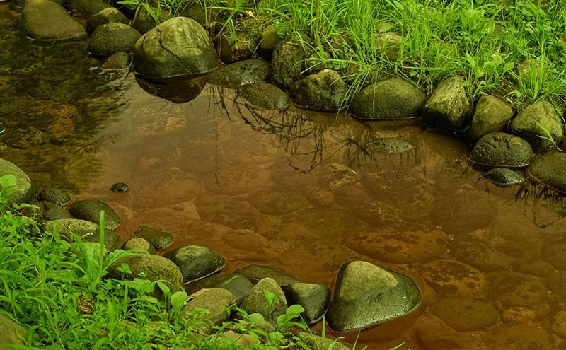 メガネの上から掛けられるサングラス オーバーグラス「Otani（オータニ）」側面までの視野と明るさを確保、テンプルがしなやかにフィット、掛け外しのしやすい軽量モデル「松風（まつかぜ）」(4)ブラック／トワイライトイエロー