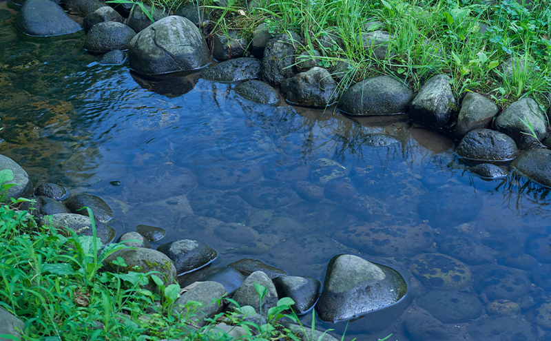 ã¡ã¬ãã®äžããæãããããµã³ã°ã©ã¹ ãªãŒããŒã°ã©ã¹ãOtaniïŒãªãŒã¿ãïŒãåŽé¢ãŸã§ã®èŠéãšæããã確ä¿ããã³ãã«ãããªããã«ãã£ãããæãå€ãã®ãããã軜éã¢ãã«ãæŸé¢šïŒãŸã€ããïŒã(7)ãã«ãŒïŒããŒã«ã°ã¬ãŒ