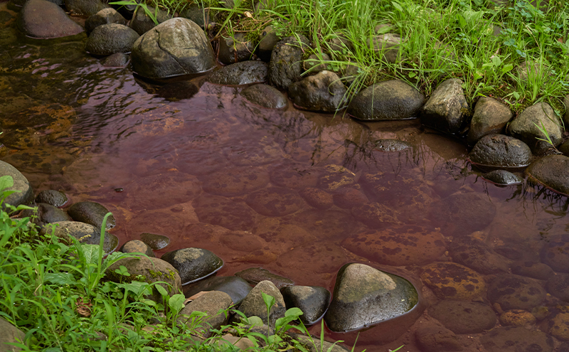 メガネの上から掛けられるサングラス オーバーグラス「Otani（オータニ）」柔らかい曲線のオーバルデザイン、小窓の側面で視野と明るさを確保、小ぶりなサイズ感のレディースモデル。「薫風（くんぷう）」(1)ダークレッド／ペールブラウン