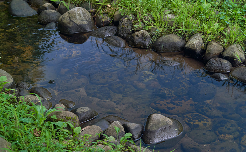 メガネの上から掛けられるサングラス オーバーグラス「Otani（オータニ）」小窓の側面で視野と明るさを確保、柔らかく、弾力があり、折れにくい素材を使用し、安心と安全性を高めたキッズモデル、「みらい」(2)ブラック／ペールモルフォブルー
