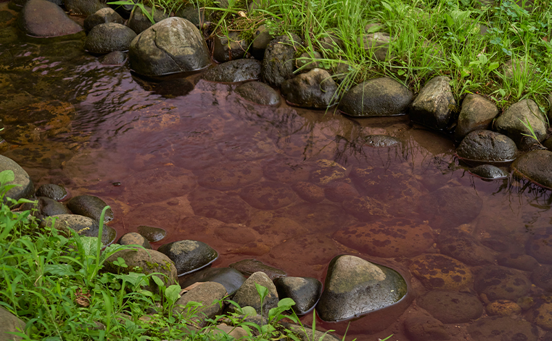 メガネの上から掛けられるサングラス オーバーグラス「Otani（オータニ）」小窓の側面で視野と明るさを確保、柔らかく、弾力があり、折れにくい素材を使用し、安心と安全性を高めたキッズモデル、「みらい」(4)グレープ／ペールブラウン