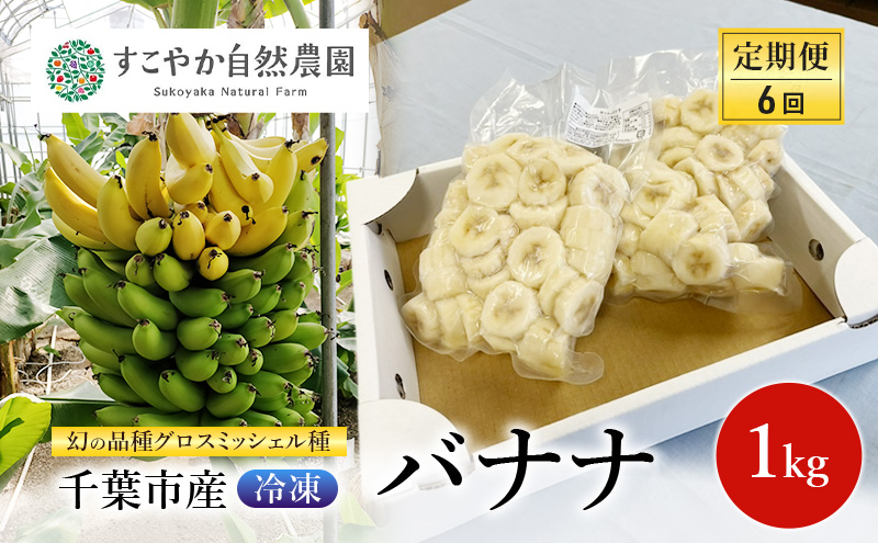 幻の品種 グロスミッシェル種 千葉市産 冷凍バナナ 1kg 定期便（6回）バナナ 果物 フルーツ 冷凍 千葉市