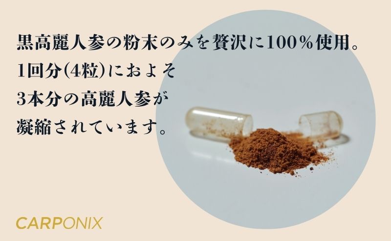 黒高麗人参「CARPONIX」　＜ご自宅用エコパック＞ 60粒入り×2袋　＜個包装＞ 4粒入り×30袋 サプリメント サプリ 黒高麗人参 カプセル ジンセノサイド 千葉市