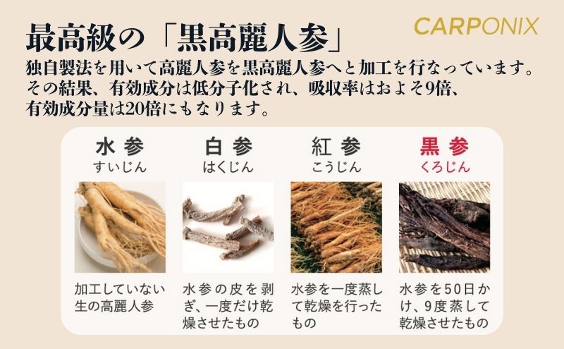 黒高麗人参「CARPONIX」　＜ご自宅用エコパック＞ 60粒入り×2袋　＜個包装＞ 4粒入り×30袋 サプリメント サプリ 黒高麗人参 カプセル ジンセノサイド 千葉市